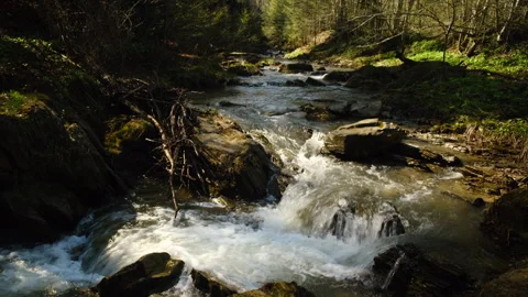 Beautiful mountain water stream or river runs down hill at early spring Stock Footage 326446428