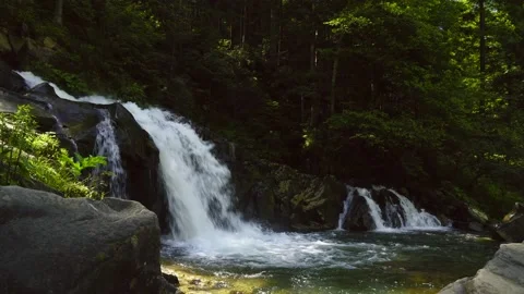 Beautiful mountain waterfall on a background of summer trees Video stock 143865373