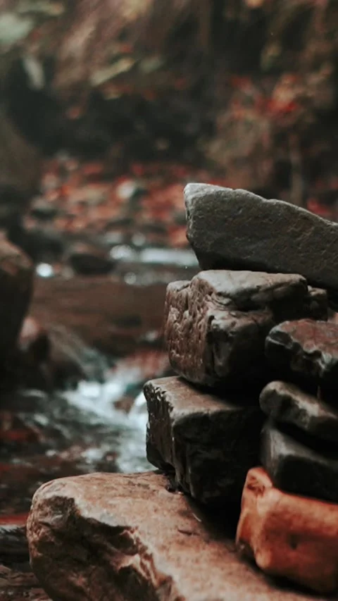 Beautiful mountain waterfall in a deep forest with tall pine trees and many Stock Footage 252940176