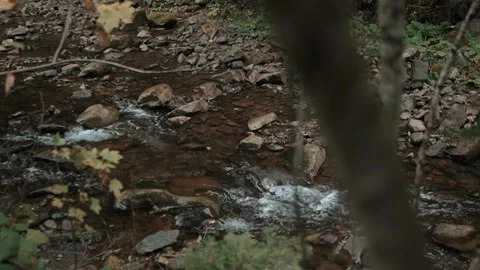 Beautiful mountain waterfall in a deep forest with tall pine trees and many Stock Footage 252940209