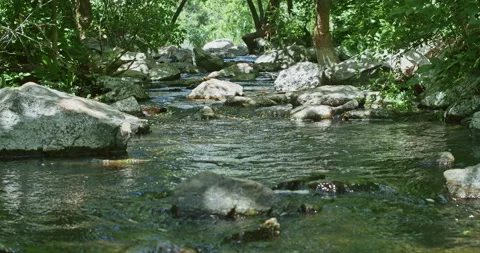 A beautiful mountain waterfall flows through the rocks, its water washes stones Stock Footage 220382006