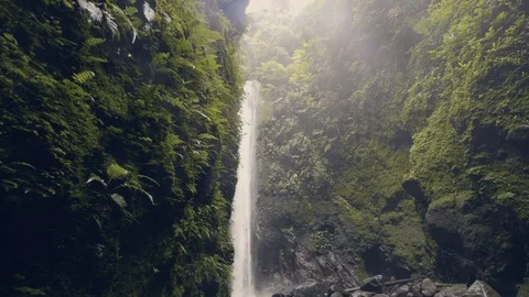 Beautiful mountain waterfall in green rainforest flowing from high cliff. Stream Stock Footage 102400445