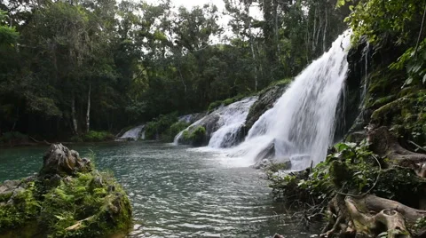 Beautiful mountain waterfall which is flowing down to a small lake of tropical Stock Footage 67832282