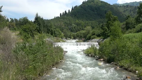Beautiful mountainous rapid river with clear water zooming Video stock 112296446