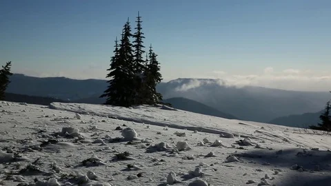 Beautiful mountains and pine trees on a sunny day during winter Stock Footage 83866591