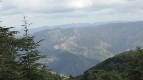 Beautiful mountains and trees Stock Footage 153515664