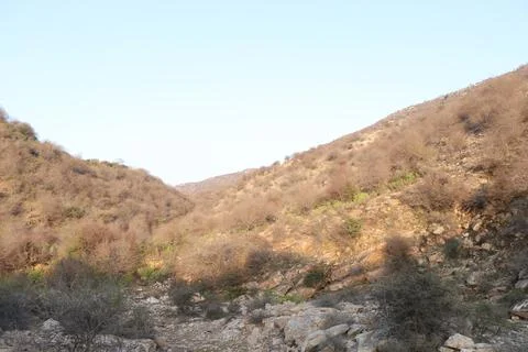 Beautiful mountains in forest. Stock Photos