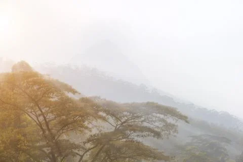 Beautiful mountains landscape. Stock Photos