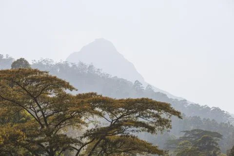 Beautiful mountains landscape. Stock Photos