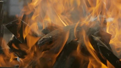 Beautiful movement of a bright fire flame over wooden logs. Stock Footage 143305086
