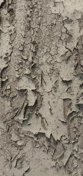 Beautiful mud Stock-Fotos
