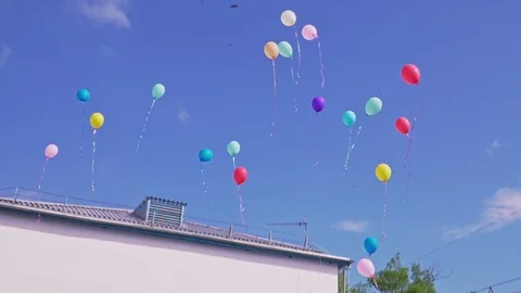 Beautiful multi-colored balloons launch into the sky Vidéo 102724127