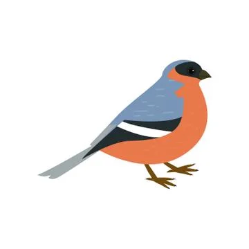 Beautiful multi-colored bird isolated on white background. Illustrazione stock