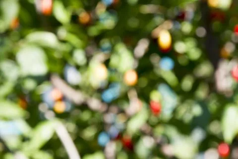 Beautiful multi-colored blurry background Foto stock