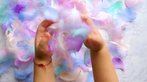 Beautiful multi-colored feather soft and fluffy. Selective focus. Stock Footage 231567111