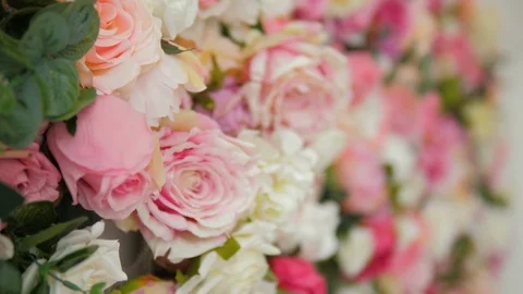 Beautiful multi-colored roses background Stock Footage 119531904