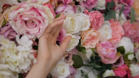 Beautiful multi-colored roses background Stock Footage 119531942