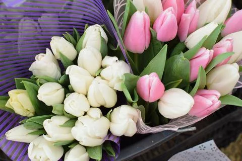Beautiful multi-colored spring tulips are sold at the flower market on the Da Stock Photos