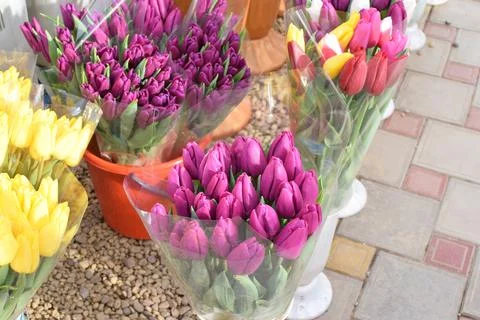 Beautiful multi-colored spring tulips are sold at the flower market on the Da Stock Photos