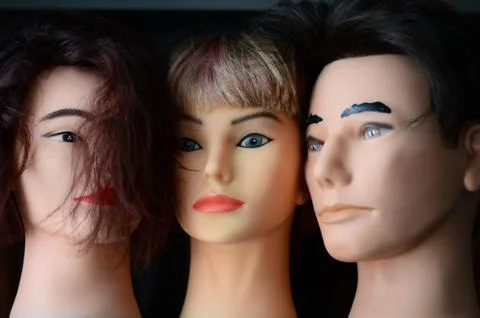 Beautiful multi-colored wigs stand on a shelf Stock Photos