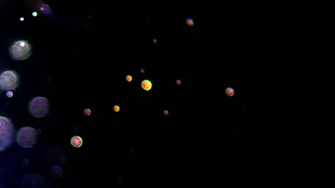 Beautiful multi-coloured circle particles over black background. Stock Footage 172428276