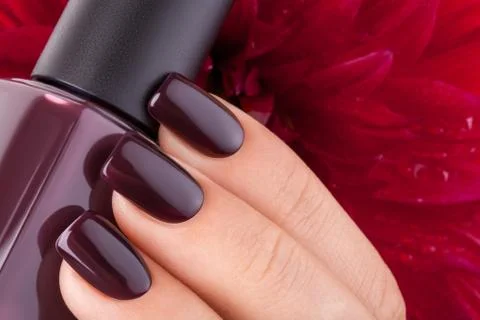 Beautiful nails. Stock Photos