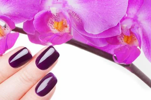 Beautiful nails. Foto stock