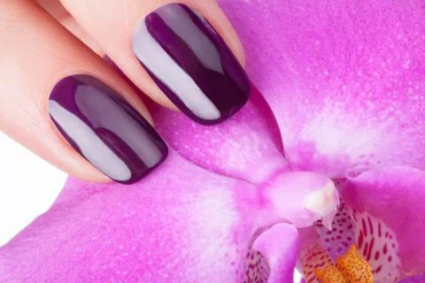 Beautiful nails. Stock Photos