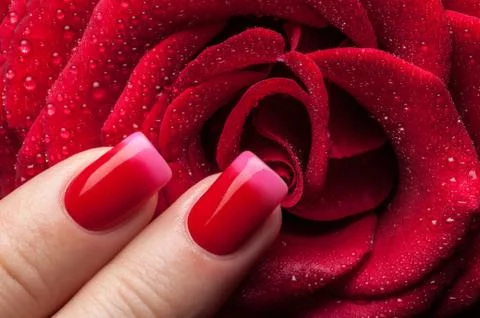 Beautiful nails. Stock Photos