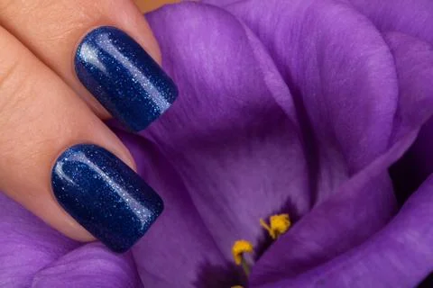 Beautiful nails. Stock Photos