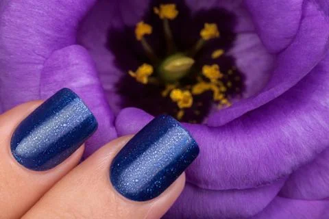 Beautiful nails. Stock Photos