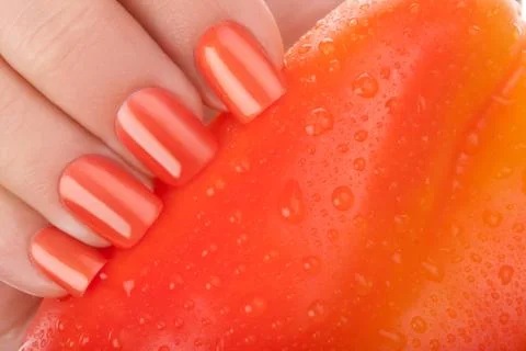 Beautiful nails. Stock Photos