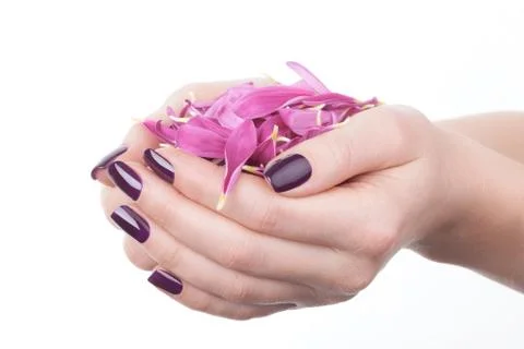 Beautiful nails. Stock Photos