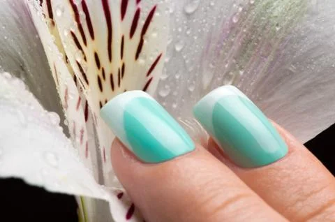 Beautiful nails. Stock Photos
