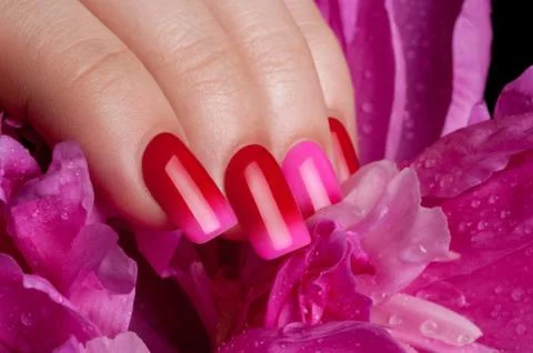 Beautiful nails. Stock Photos