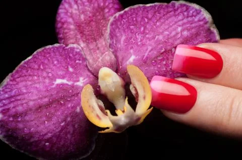 Beautiful nails. Stock Photos