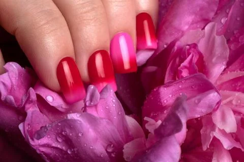 Beautiful nails. Foto stock