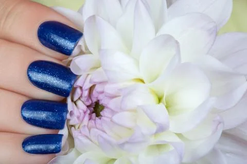 Beautiful nails. Stock Photos