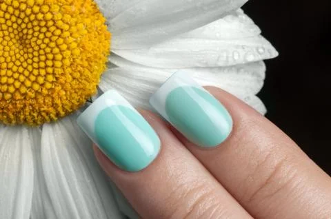 Beautiful nails. Stock Photos