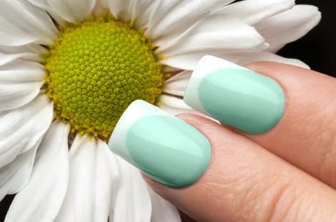 Beautiful nails. Stock Photos