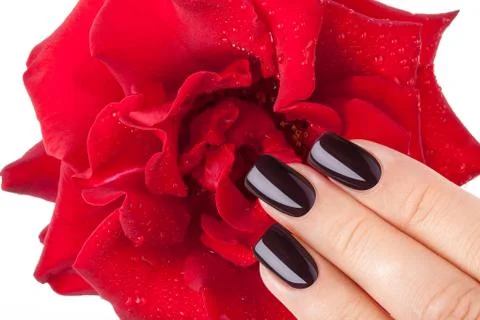 Beautiful nails. Stock Photos
