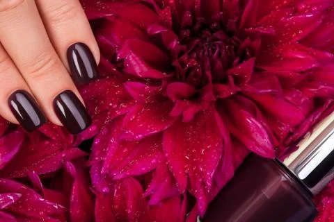 Beautiful nails. Stock Photos