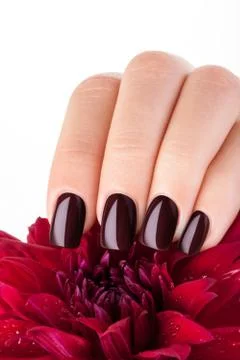 Beautiful nails. Stock Photos