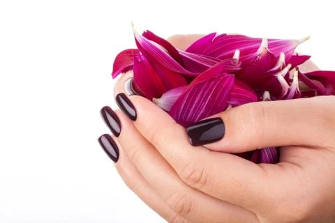 Beautiful nails. Stock Photos