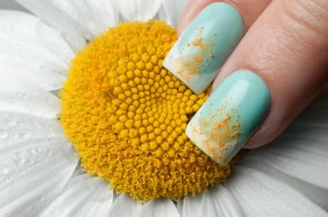 Beautiful nails. Stock Photos