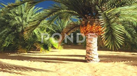 Beautiful natural background -African oasis 3d rendering: Graphic #80810509