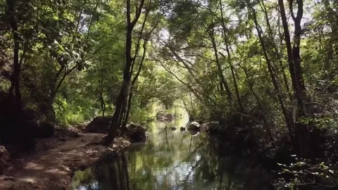 Beautiful natural charm Video stock 218463910