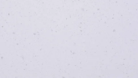 Beautiful natural falling snow, first person view (brighter verson) Stock Footage 152581563