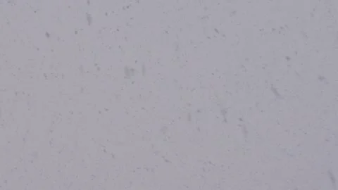 Beautiful natural falling snow, first person view (darker version) Stock Footage 152581591