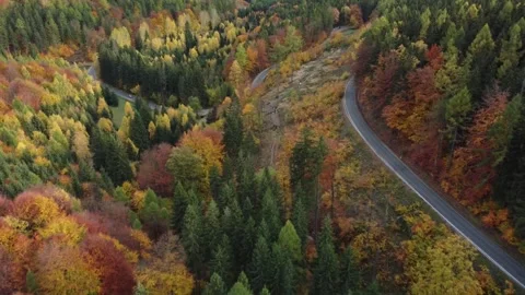 Beautiful Natural Stock Footage 268362406